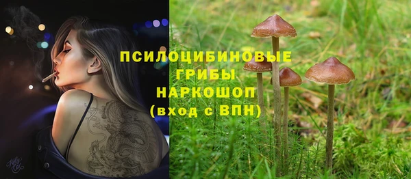 a pvp Баксан