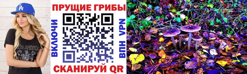 Галлюциногенные грибы прущие грибы  купить наркотики сайты  Новокубанск 